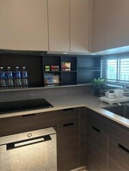 Haus On Handy (D9), Condominium #498811451